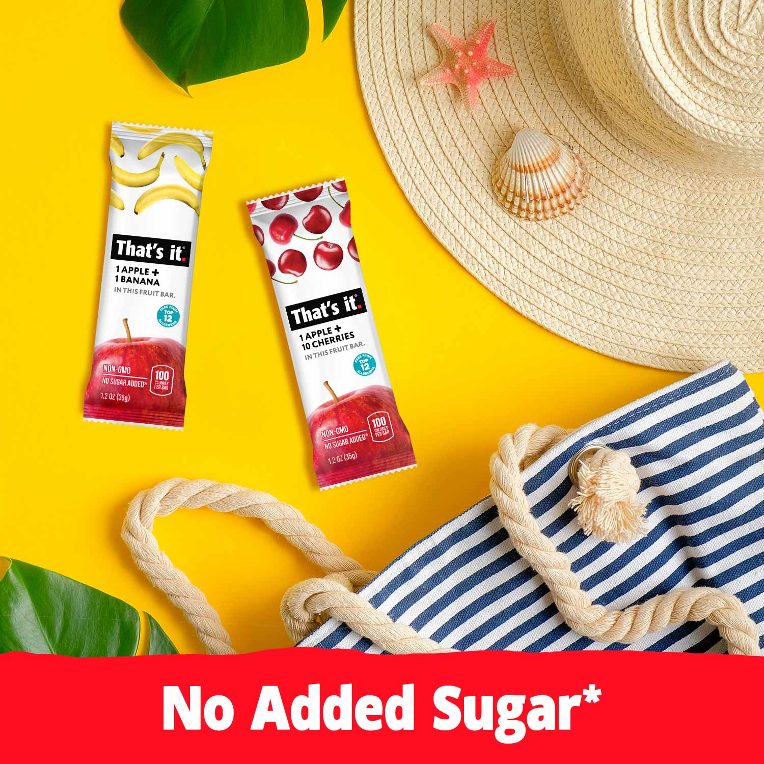 Best Sellers Fruit Bar Variety Pack - Banana, Cherry & Mango (36 Bars)