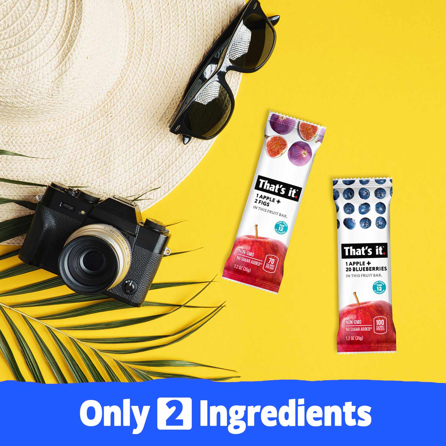 Best Sellers Fruit Bar Variety Pack - Blueberry, Fig & Strawberry (36 Bars)